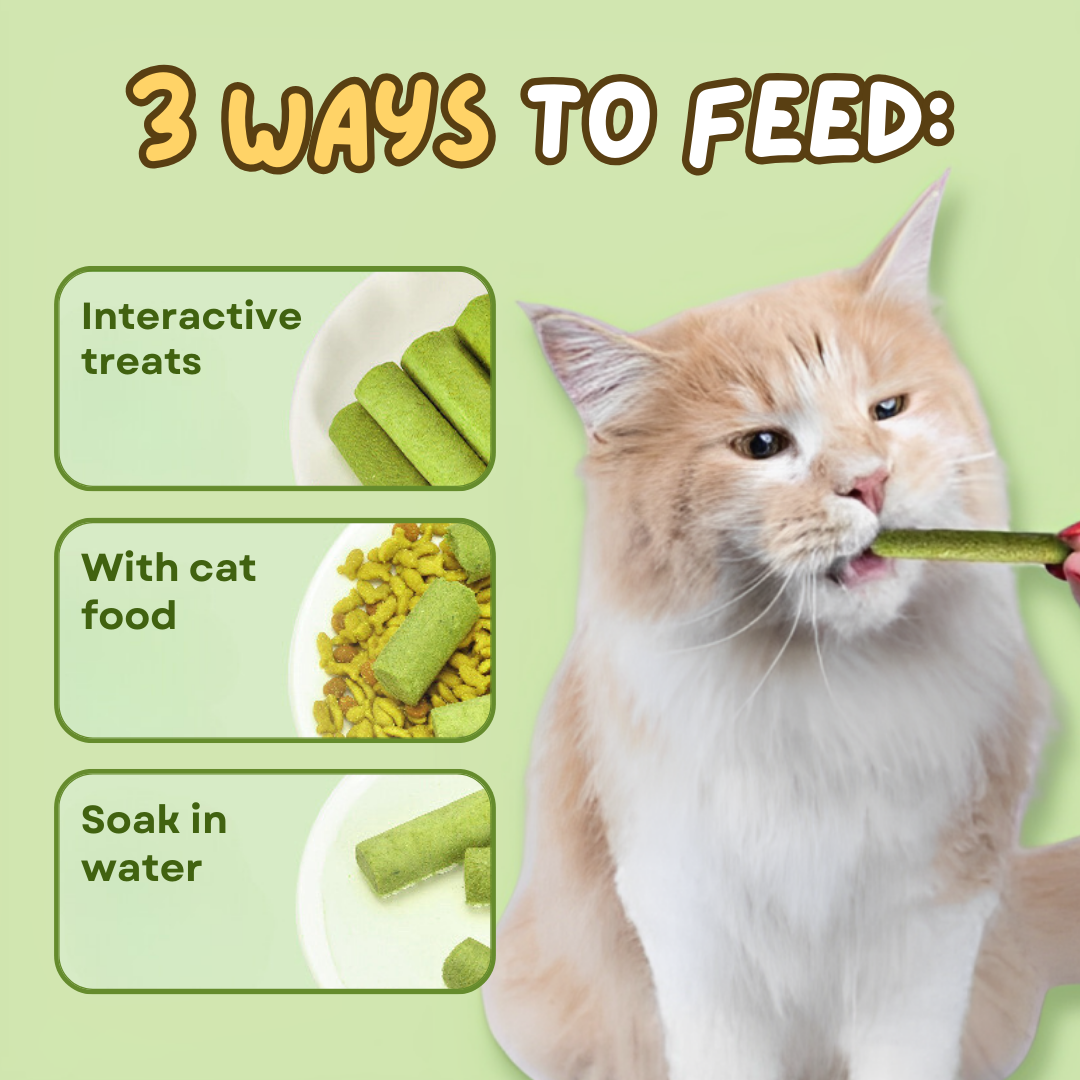 Cat Grass Teething Stick - MantroForce