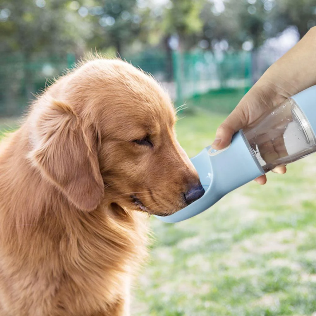 Handige Draagbare Waterfles met Voerbak  – Altijd Vers Water Onderweg! - MantroForce